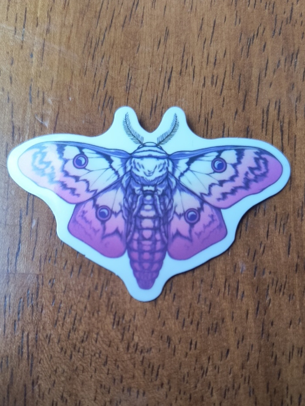 Pink Moth Vinyl Sticker